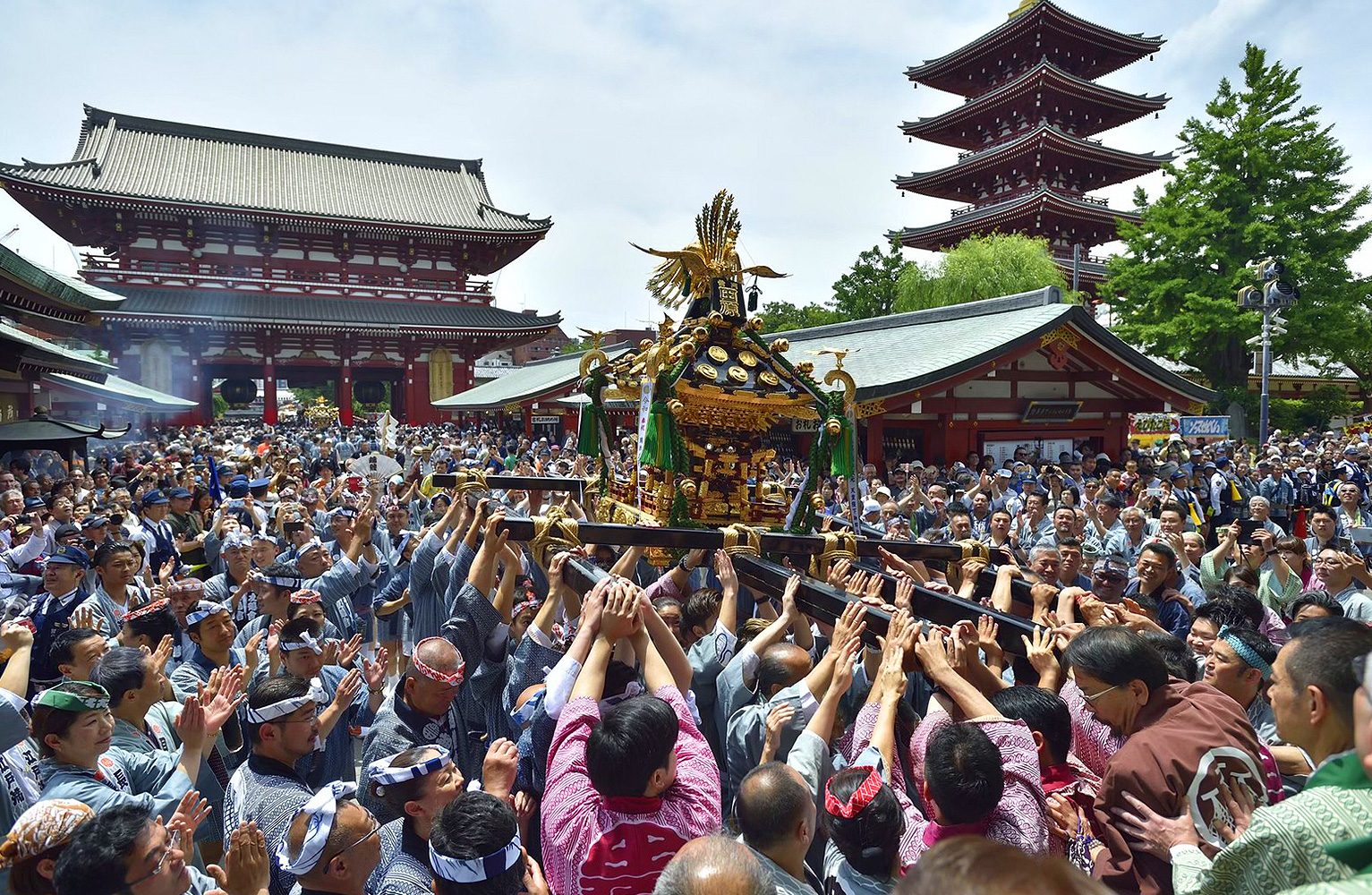 三社祭 神輿庫 雷門田原町会|三社祭のお知らせ